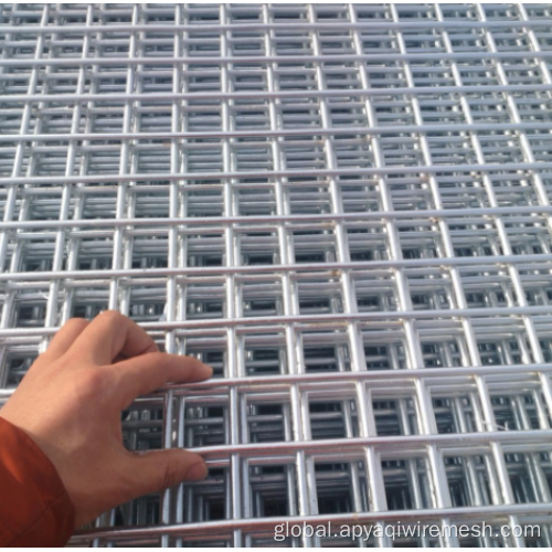 Galvanized Welded Wire Mesh Fence Panel welded wire mesh panel for fence Manufactory